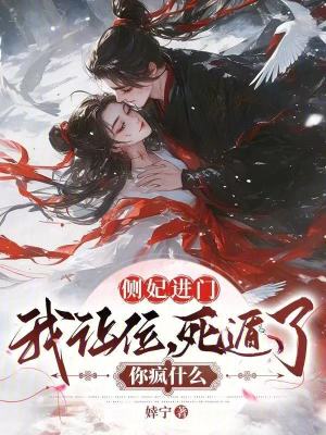 側(cè)妃進門我讓位，死遁了你瘋什么