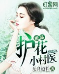 極品護(hù)花小村醫(yī)