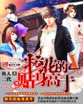 校花的貼身高手